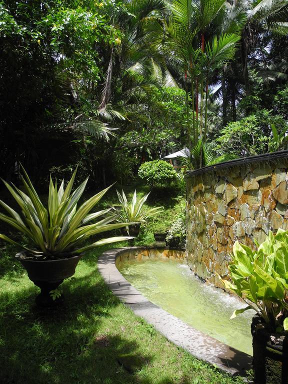 Villa Jineng Ubud By Basma Groups Eksteriør billede